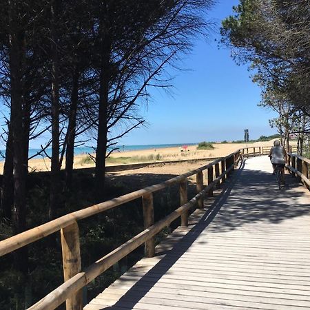 Appartamenti Sirio Via Pesci 6,8,14 Bibione Bagian luar foto